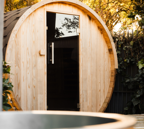 sauna and plunge benefits